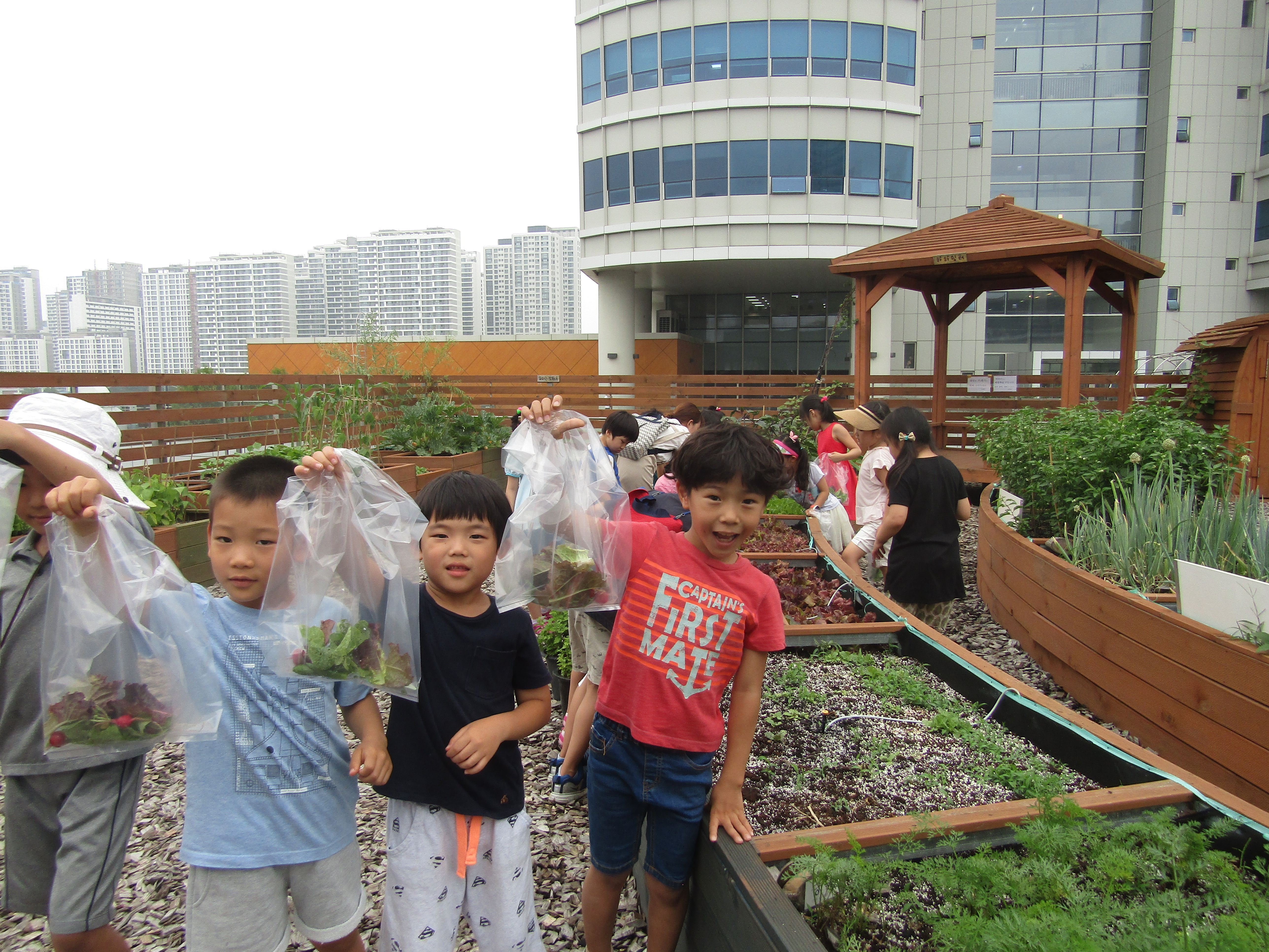 완료사업_아동텃밭 (1).JPG