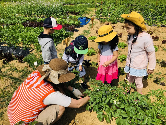 담쟁이텃밭가꾸기활동 (2).jpg